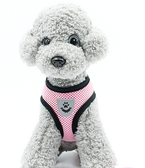 Pink Mesh Padded Soft Puppy Pet Dog Harness Breathable Comfortable S M L