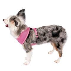 Dog Pet Control Harness Soft Mesh Walk Collar Safety Strap Vest Puppy Cat XS S M