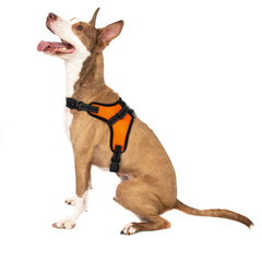 No Pull Adjustable Dog Pet Vest Harness Quality Nylon XS S M L XL XXL Extra Larg