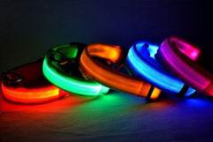 SAFETY LED Dog Pet Light Up Collar Night Glow Adjustable Bright 6 Color XS S L