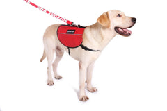 Service Dog Vest Harness Animal Light Weight Reflective Adjustable XXS - XL- RED