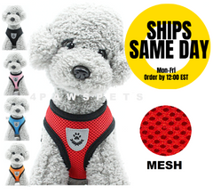 Mesh Padded Soft Cat Pet Dog Harness Breathable Comfortable Many Colors S M L