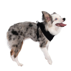 Dog Pet Control Harness Soft Mesh Walk Collar Safety Strap Vest Puppy Cat XS S M