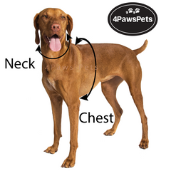 No Pull Dog Pet Harness Adjustable Control Vest Dogs Reflective XS-XL BLUE CAMO