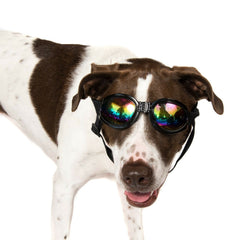 Dog Goggles Sunglasses, USA Seller, 6 Colors! Eye Protection, Adjustable, Padded