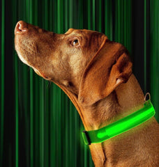 SAFETY LED Dog Pet Light Up Collar Night Glow Adjustable Bright 6 Colors Leash