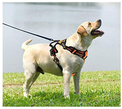 Dog Harness No Pull Pet Harness Adjustable Reflective Oxford 2 Leash Attachments