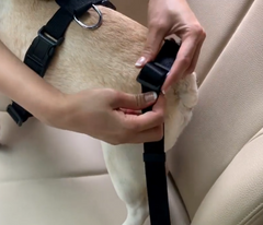 ONE Dog Pet Cat Safety SEAT BELT Car Seat Belt Adjustable Harness Lead 5 STARS