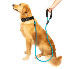 5FT Reflective Dog Leash Nylon with Padded Handle