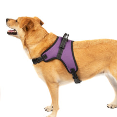 No Pull Adjustable Dog Pet Vest Harness Quality Nylon PLUS LEASH XS S M L XL XXL