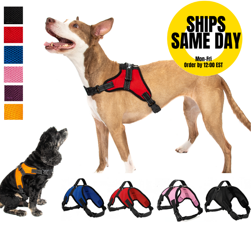 Pet Control Harness for Dog Soft Mesh Walk Large Small Medium XXL